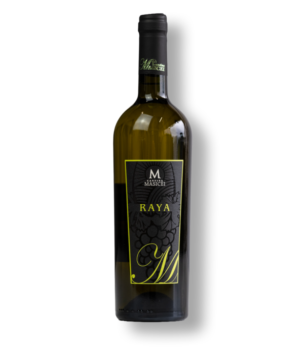Raya Masicei Bio